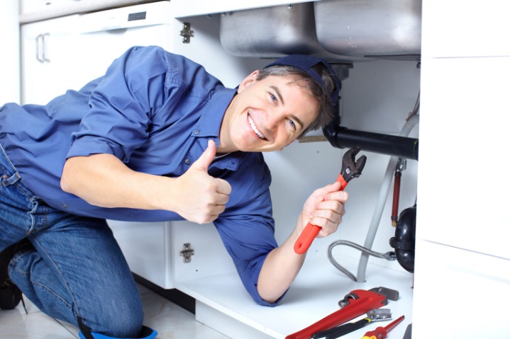 How To Clear Tree Roots In Drain Pipes