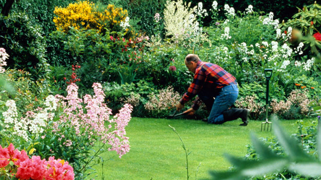 How to Start a Successful Landscaping Business from the Ground Up